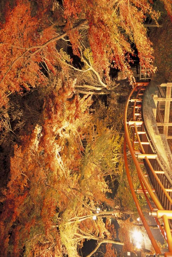 Shinki Hotel Shibukawa Luaran gambar